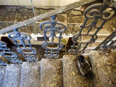 ...arricchite da eleganti ringhiere nere in ferro